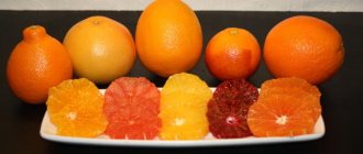 Апельсин. Калорийность 1 шт, на 100 грамм, белки-жиры-углеводы, гликемический индекс, польза и вред