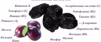 Fresh prunes. Calorie content when losing weight, benefits, harm, health problems 