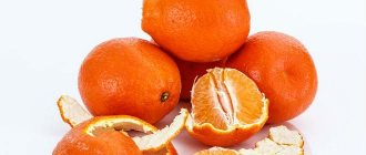 Что такое фрукт минеола?