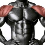 Deltoid muscles photo