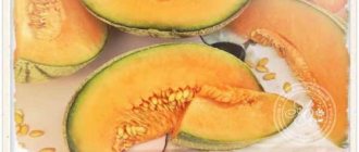 Melon benefits. What are the benefits of melon for our health and why should we eat it? 