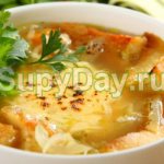 French stew soup with cabbage and vegetables