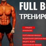 full body workout for all muscle groups of the body