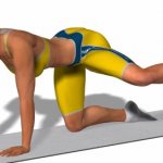 How to pump up your legs and buttocks at home. Effective exercises 