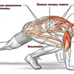 Какие мышцы задействует упражнение альпинист