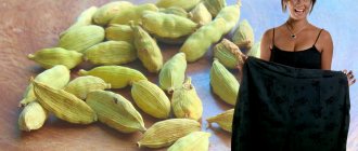 Cardamom for weight loss: 5 ways to lose excess weight and fluid in the body with royal spice