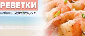 Креветки – ценнейший морепродукт с большим количеством белка