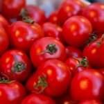 Do you like tomatoes? We tell you how they affect our body and whether they are beneficial 