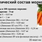 Морковь сырая. Калорийность, гликемический индекс, бжу, польза, рецепты на диете