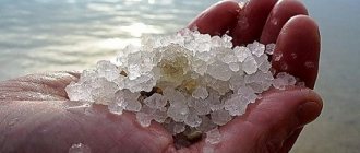 sea ​​salt for weight loss