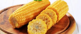 Можно ли есть вареную кукурузу при похудении: калории, польза и вред в борьбе с лишними килограммами
