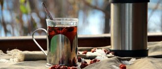 Rosehip infusion. Benefits and harms, how to brew in a thermos, recipes for use for the liver, kidneys, children, pregnant women 