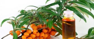 Sea buckthorn oil for weight loss