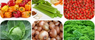 Vegetables for fat-burning soup