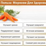 Vegetable stew. Calorie content per 100 grams, BZHU, how to eat on a diet 