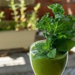 Vegetable smoothies - 15 healthy recipes