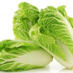 Chinese cabbage. Calorie content per 100 grams, benefits, harm 