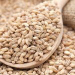 Barley for weight loss