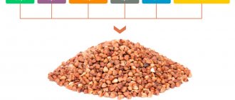 Nutritional value of buckwheat