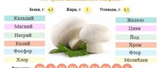 Nutritional value of champignons