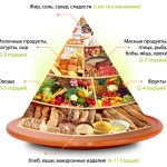 Food pyramid of healthy nutrition, correct for weight loss, using a hand