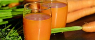Beneficial properties of carrot juice, tips for use and possible harm