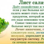 Польза и вред листьев салата