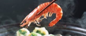 Benefits of shrimp