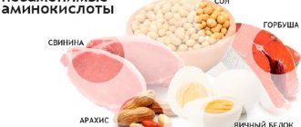 Foods containing essential amino acids