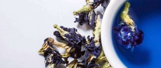 purple chang shu tea