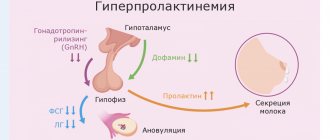 Роль пролактина в женском организме - Изображение №1