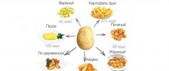 сколько калорий в картошке