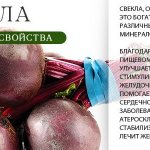Composition and beneficial properties of boiled beets