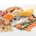 List of protein foods for pregnant women