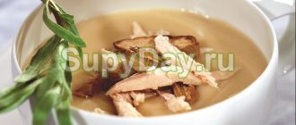 Chicken puree soup in a slow cooker