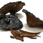 Dried Black Lingzhi