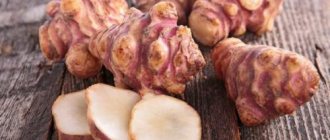 Jerusalem artichoke for weight loss. Losing weight with earthen pear 