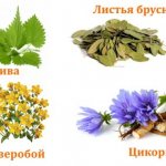 Herbs to improve the body&#39;s metabolism