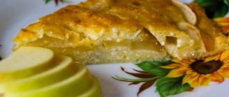 Cottage cheese casserole is a protein dish suitable for all stages of the Dukan diet - tips and recommendations from 1SportNews.ru