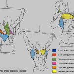 Upper block row (behind the head, in front of you), vertical pull-down; technique; how to learn to do pull-ups 
