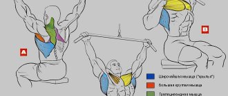 Upper block row (behind the head, in front of you), vertical pull-down; technique; how to learn to do pull-ups 