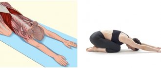 Упражнения для растяжки мышц спины