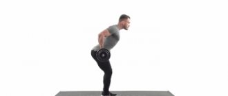 Arm exercises with a barbell. Biceps, triceps and forearm. 