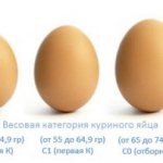 Вес жареного яйца. Сколько весит одно яйцо?