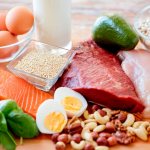 Types of Protein Sources