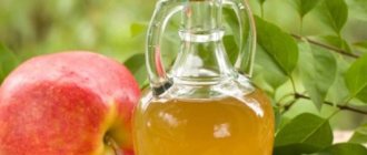 Apple cider vinegar and apple