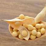 soybean grains and pods in spoons