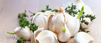 garlic cloves in peels with herbs